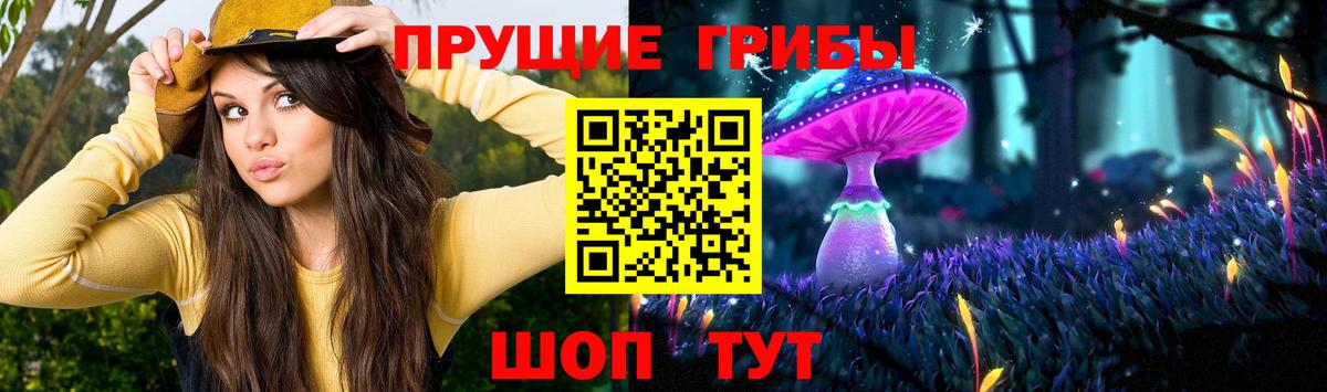 Галлюциногенные грибы Cubensis  Вход с VPN  Арсеньев  Псилоцибиновые грибы Psilocybe 